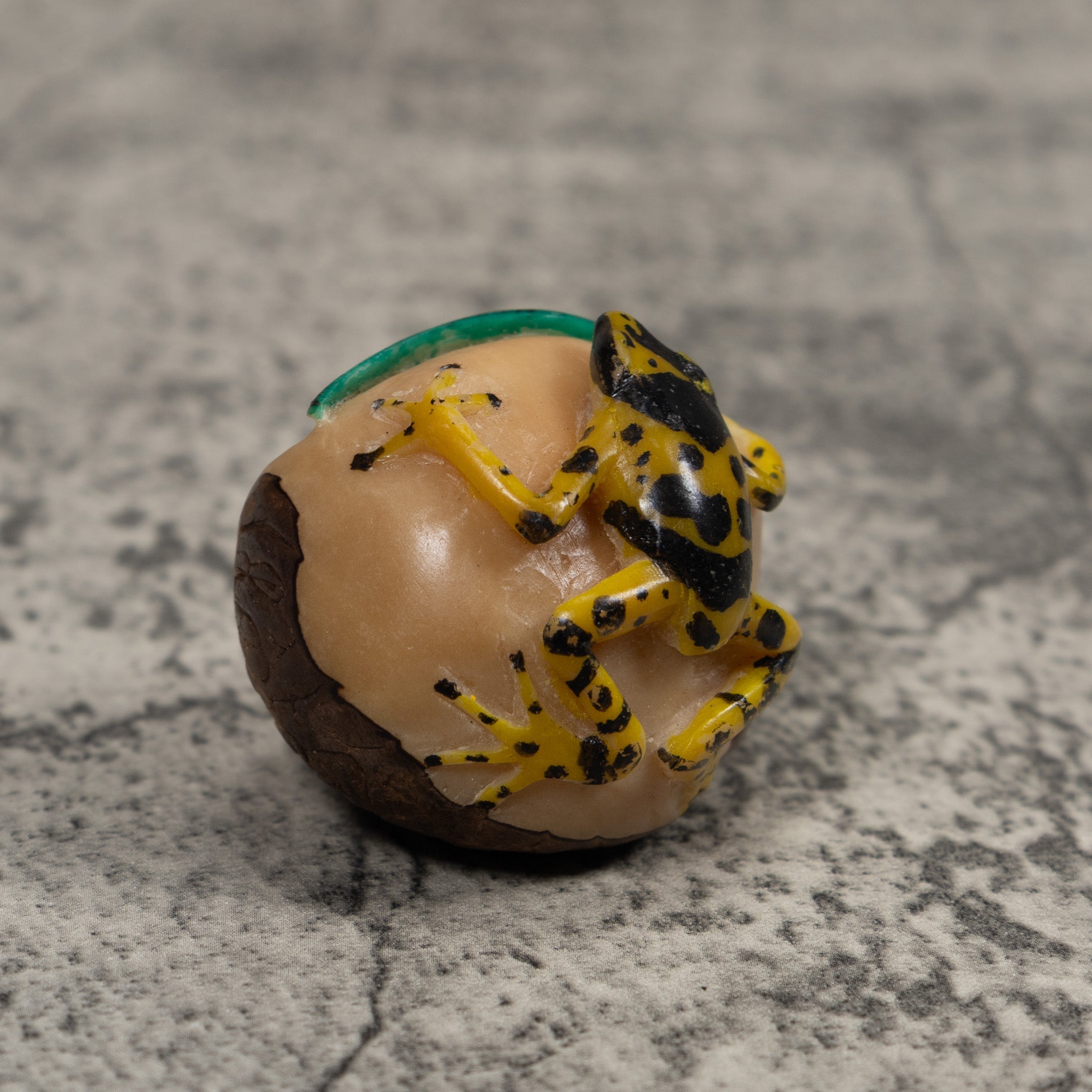 Poison Dart Frog Tagua Carving