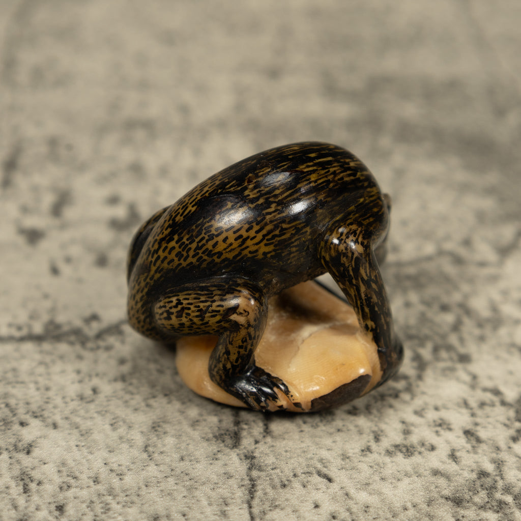 Howlar Monkey Tagua Carving