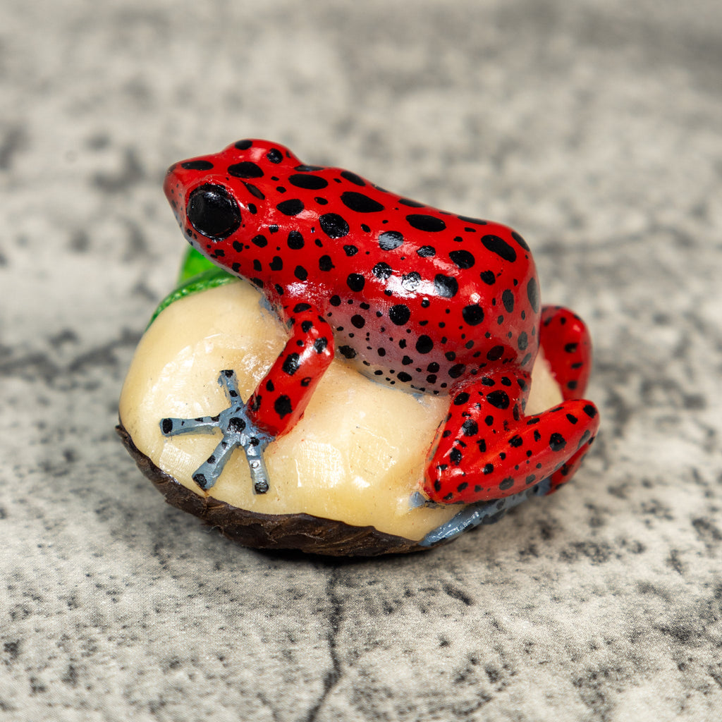Red Poison Dart Frog Tagua Carving
