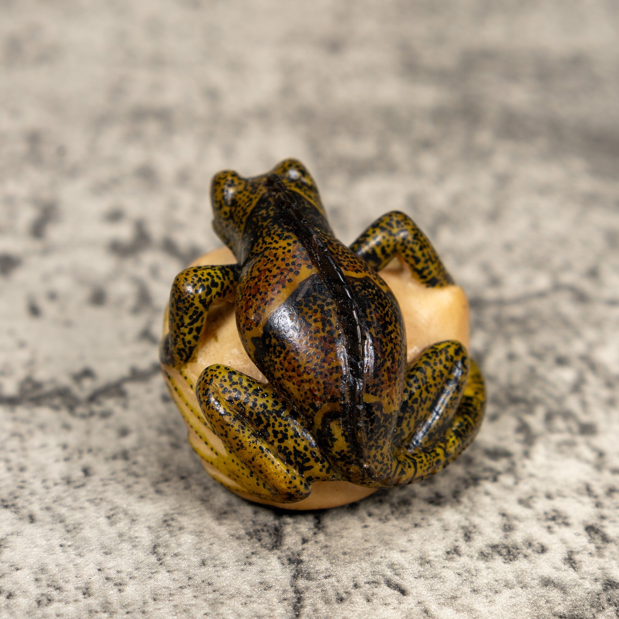 Brown And Black Iguana Lizard Tagua Carving