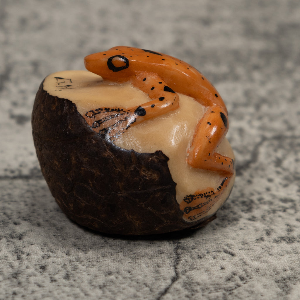 Vintage Poison Dart Frog Tagua Carving