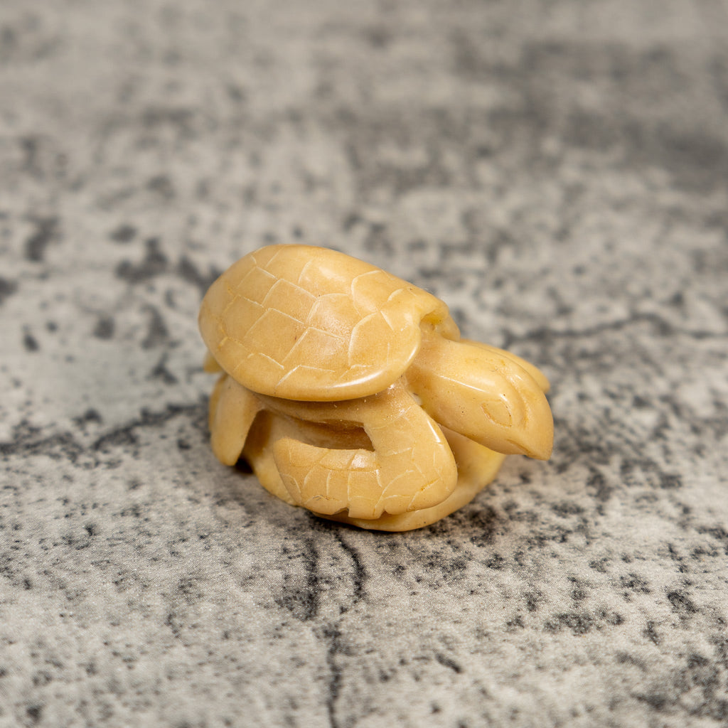 Vintage Natural White Sea Turtle Tagua Carving