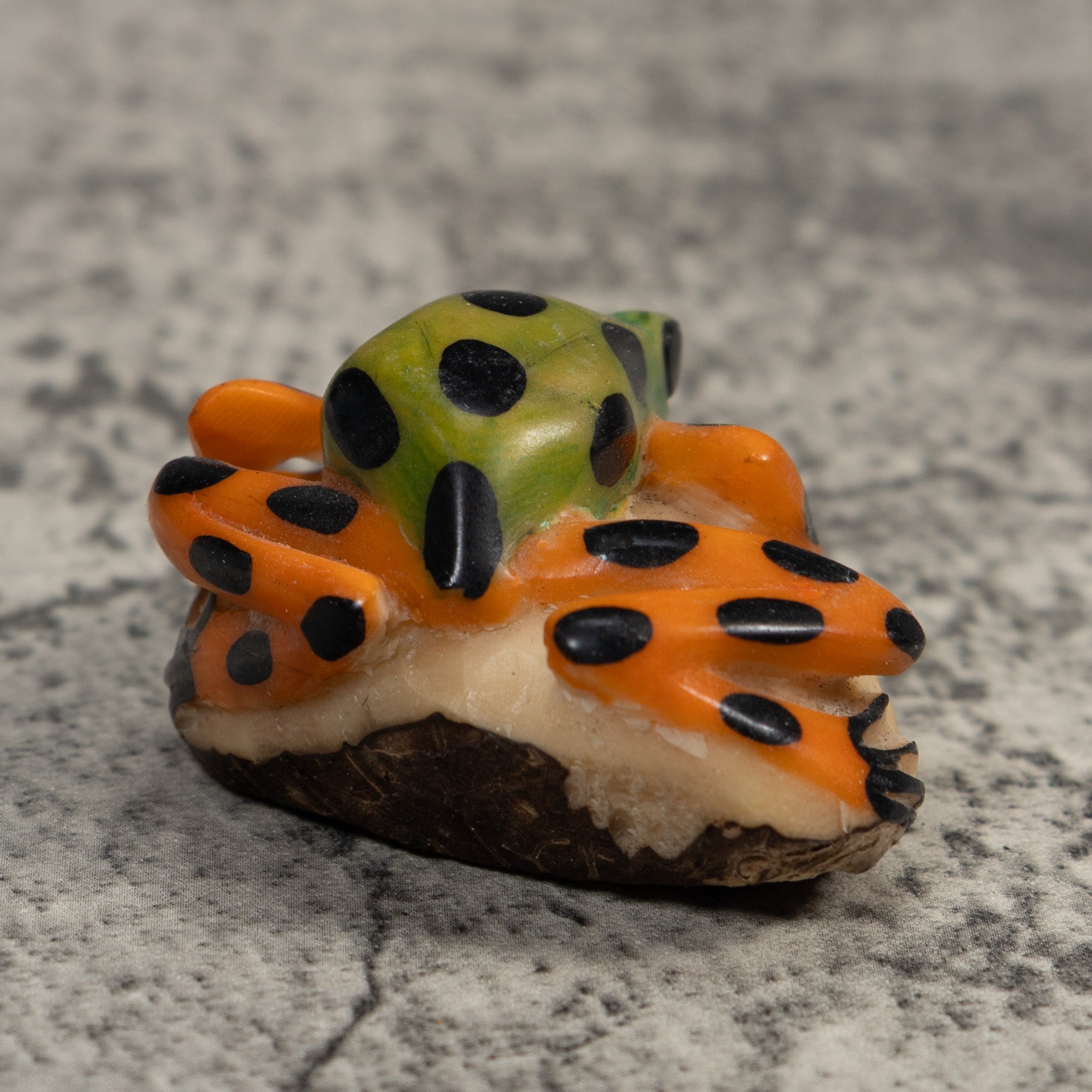 Orange Green And Black Poison Dart  Frog Tagua Carving