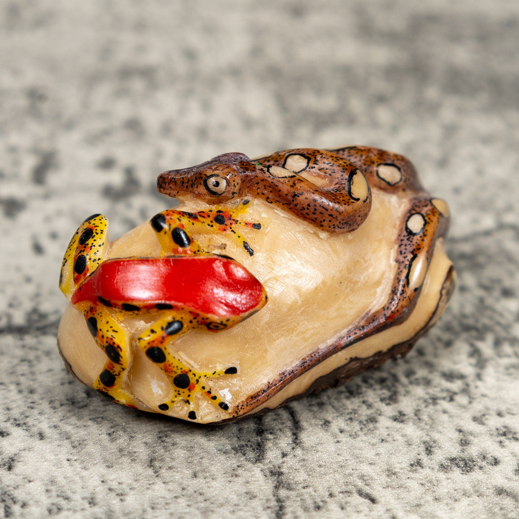 Poison Dart Frog And Snake Tagua Carving
