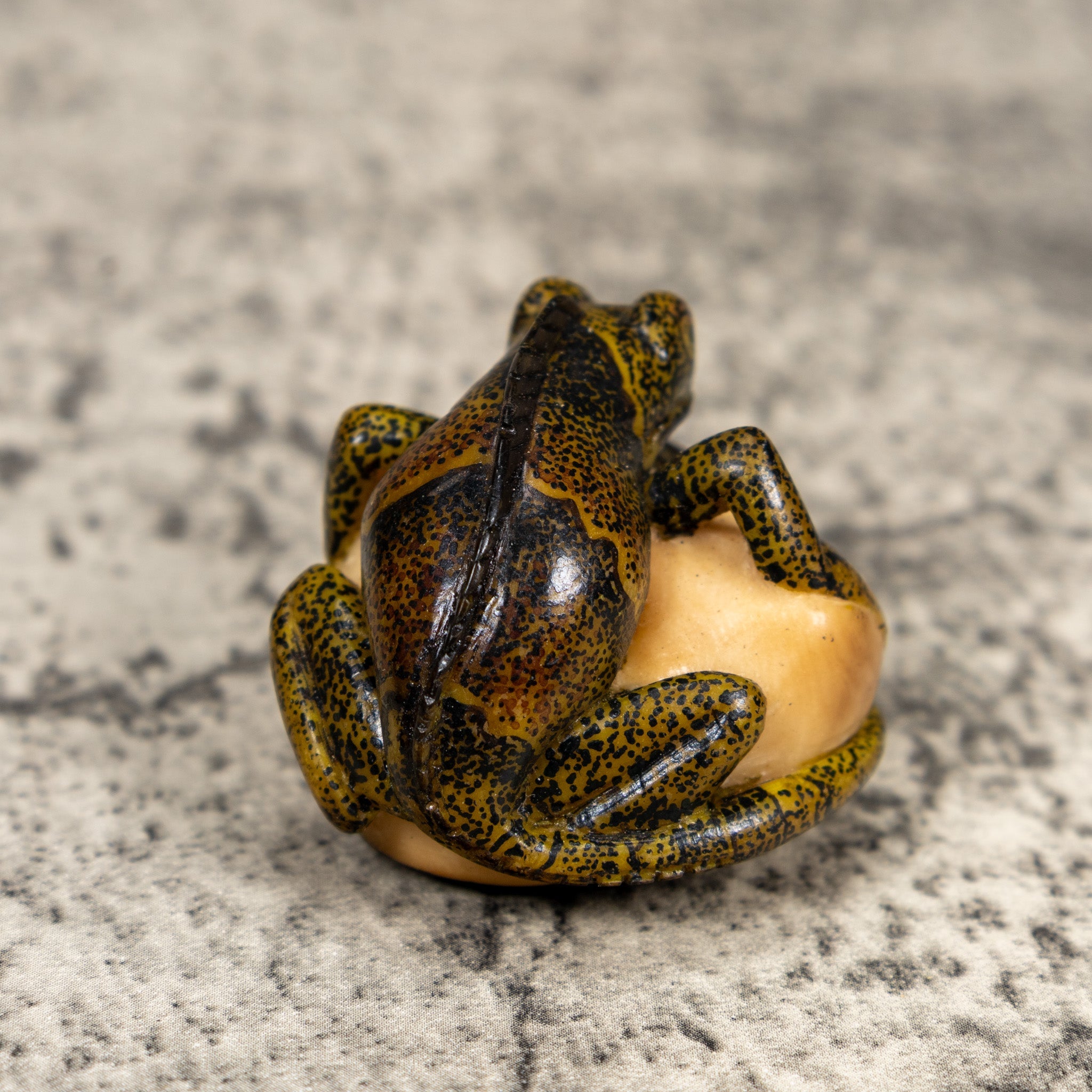 Brown And Black Iguana Lizard Tagua Carving