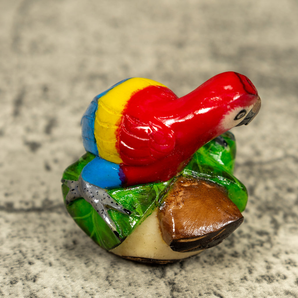 Macaw Parrot Bird Tagua Carving