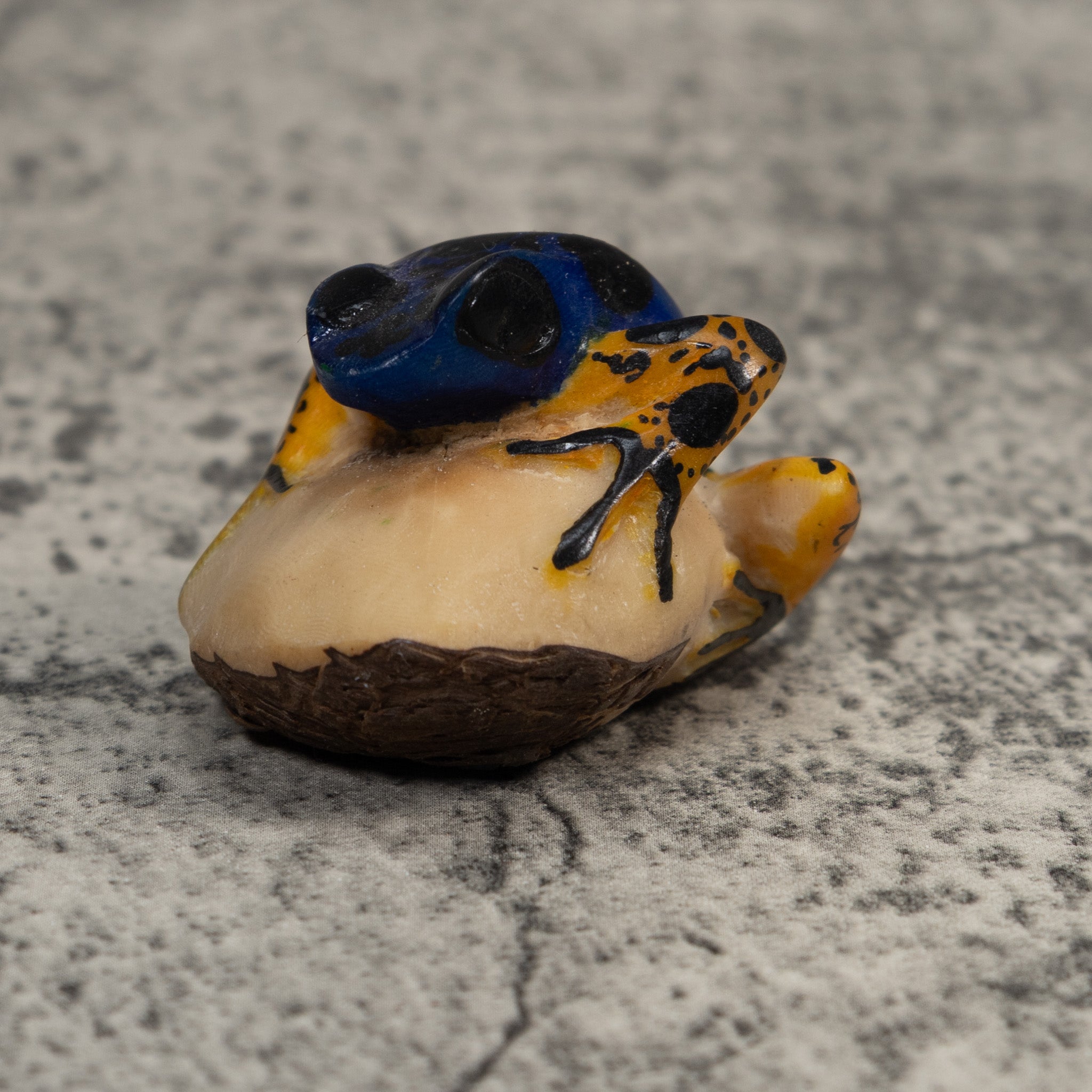Vintage Blue And Orange Poison Dart Frog Tagua Carving