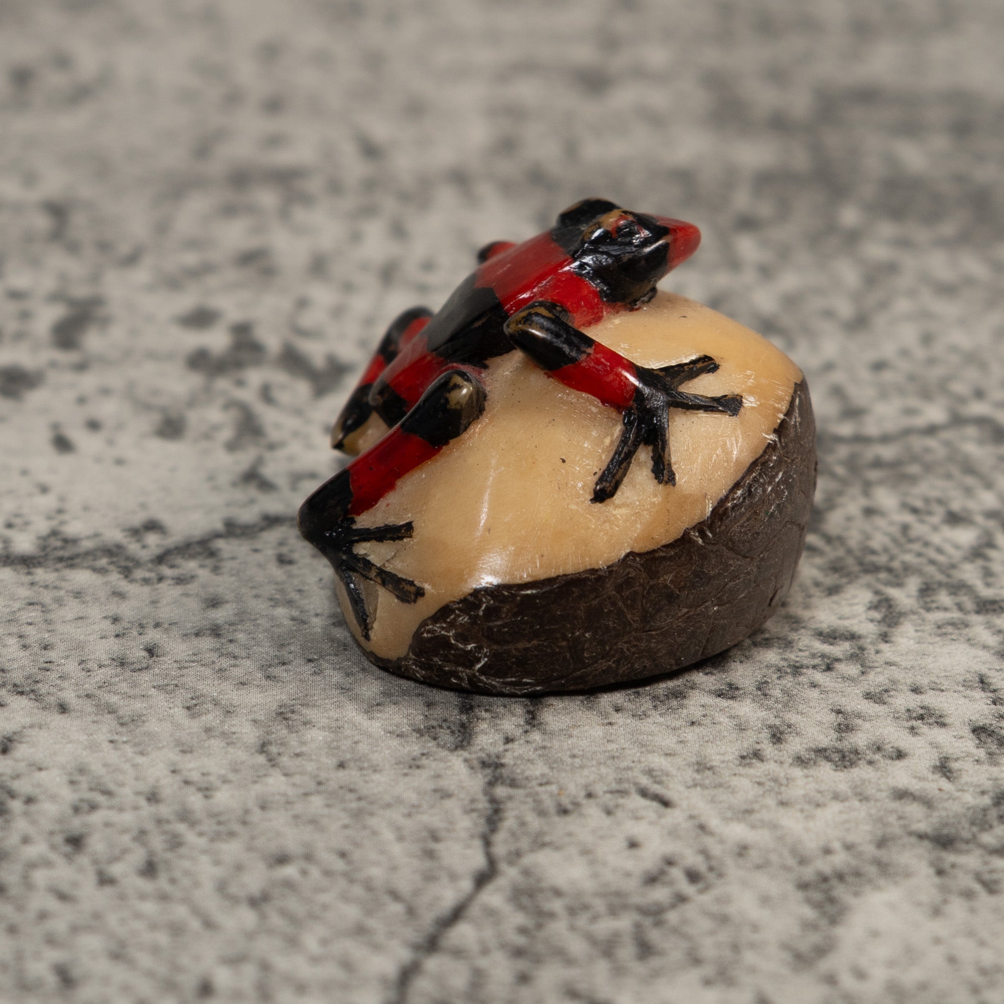 Red And Black Poison Dart Frog Tagua Carving