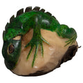 Iguana Lizard Reptile Tagua Carving