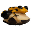 Black And Gold Poison Dart Frog Tagua Carving