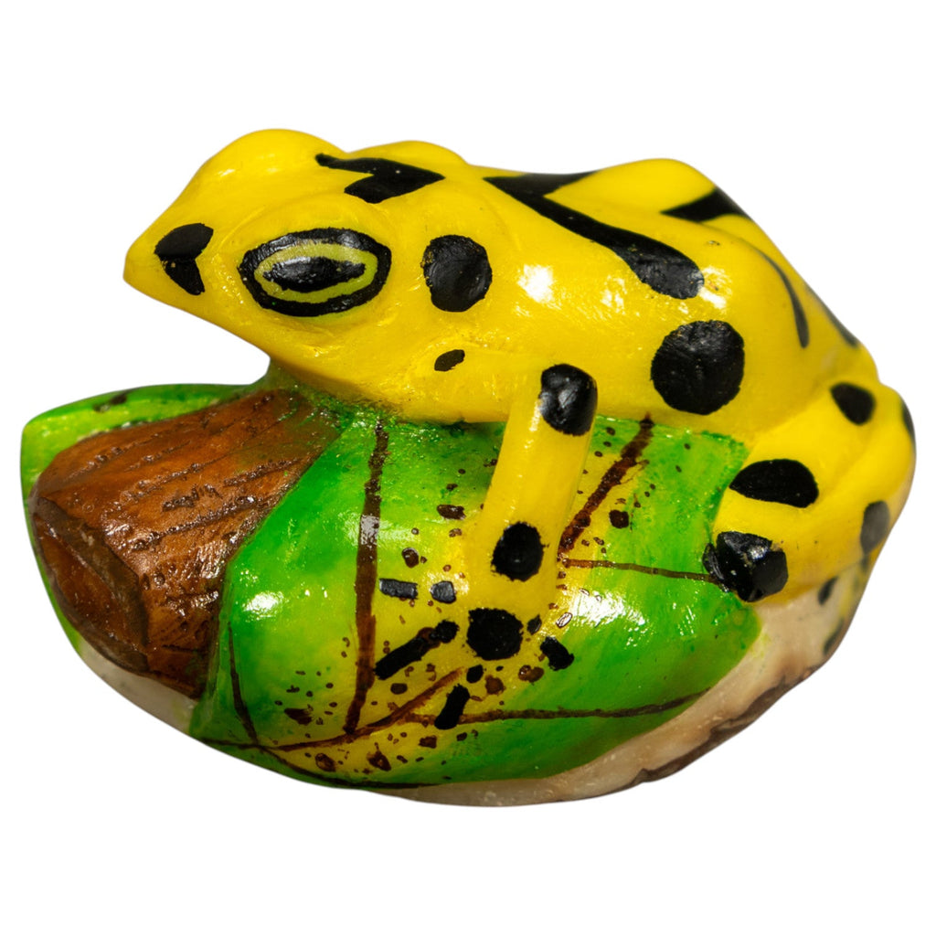 Yellow And Black Golden Frog Tagua Carving