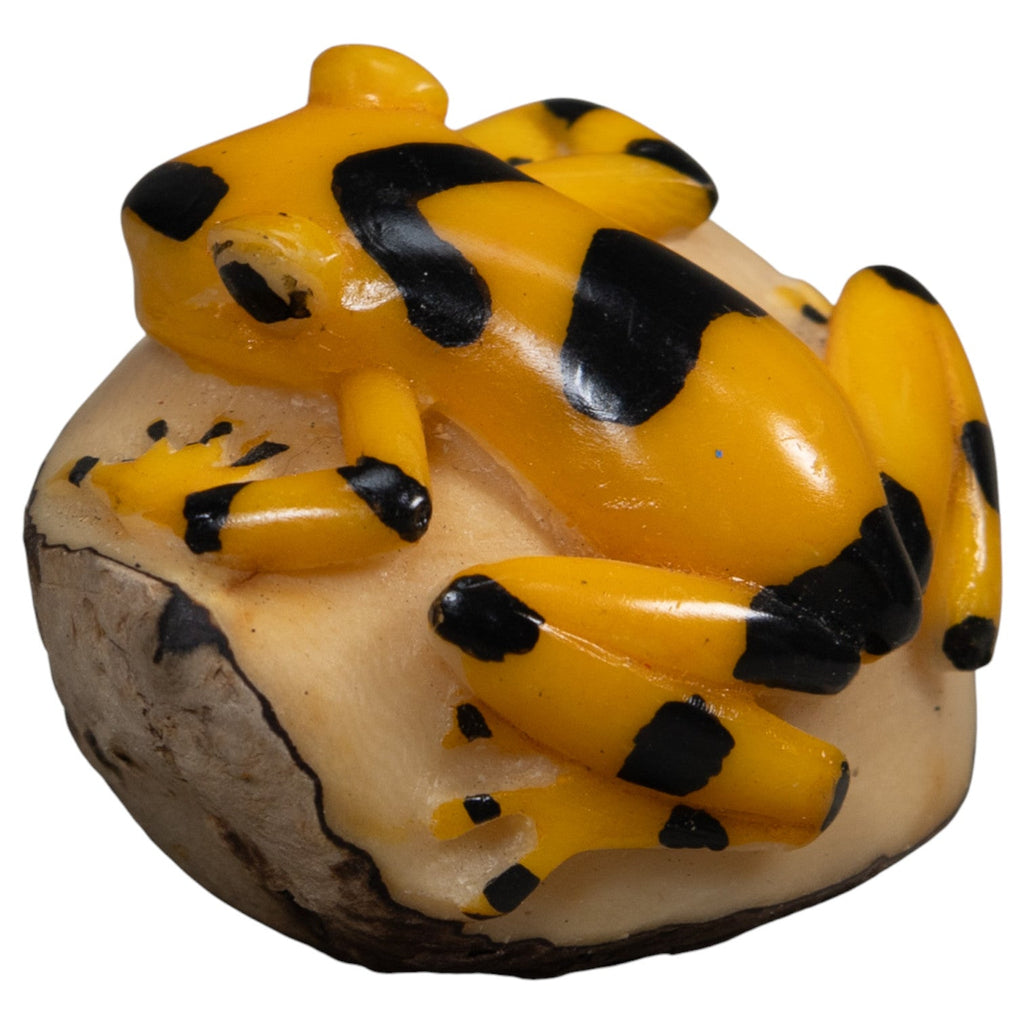 Gold and Black Frog Tagua Carving