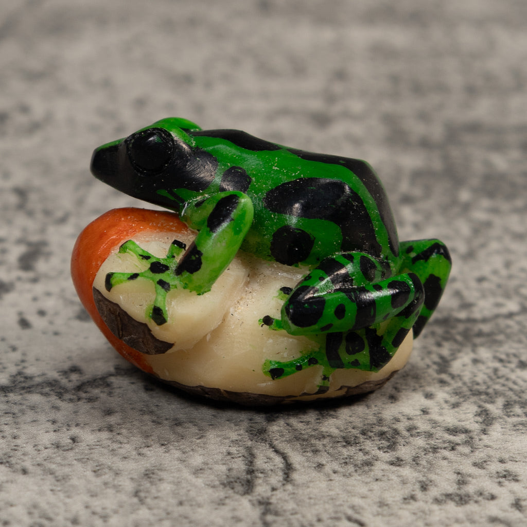 Black Geen And Orange Poison Dart Frog Tagua Carving