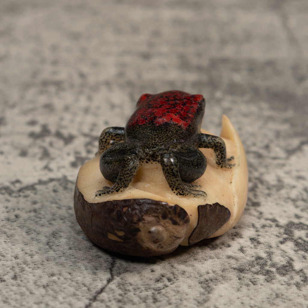 Red and Black Poison Dart Frog Tagua Carving