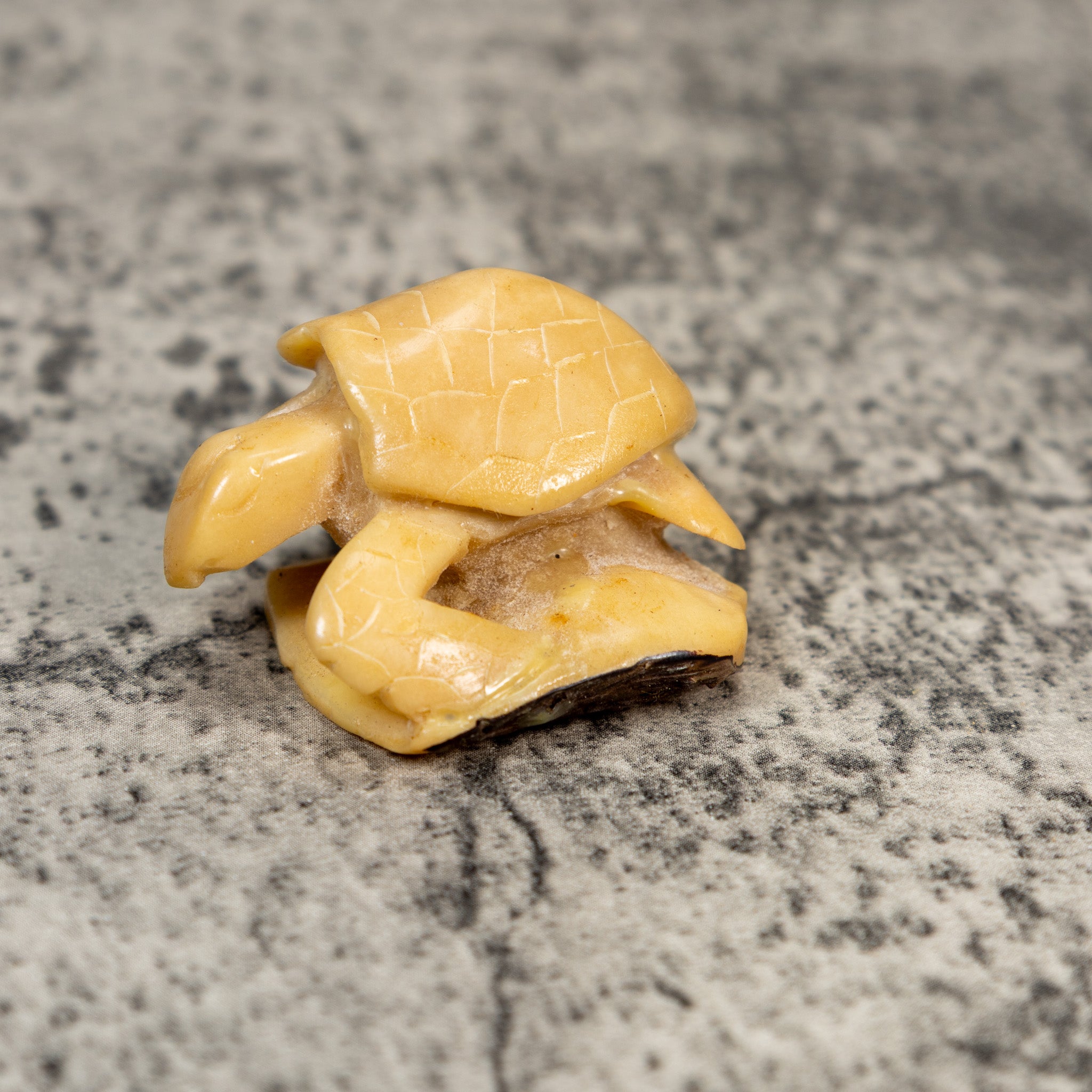 Vintage Natural White Sea Turtle Tagua Carving