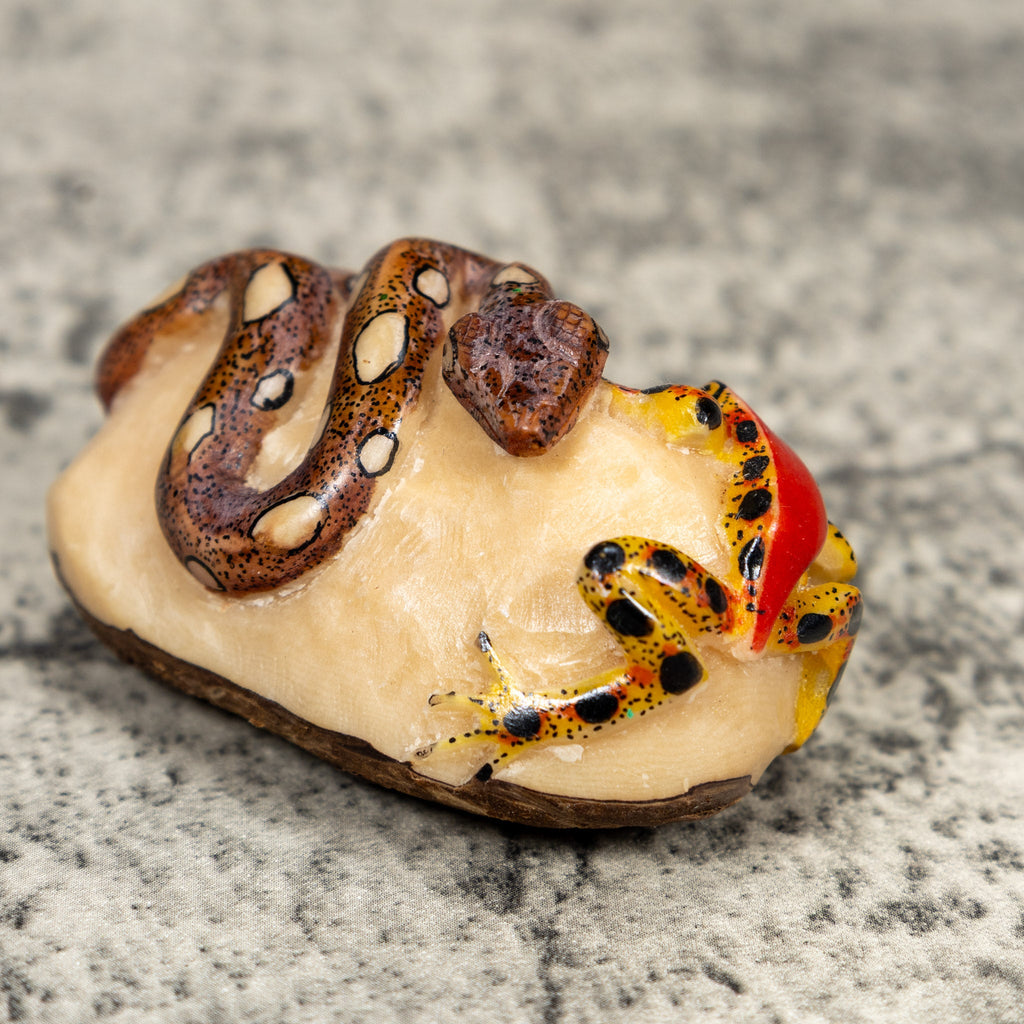 Poison Dart Frog And Snake Tagua Carving