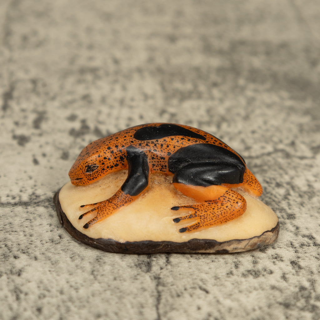 Black And Orange Poison Dart Frog Tagua Carving