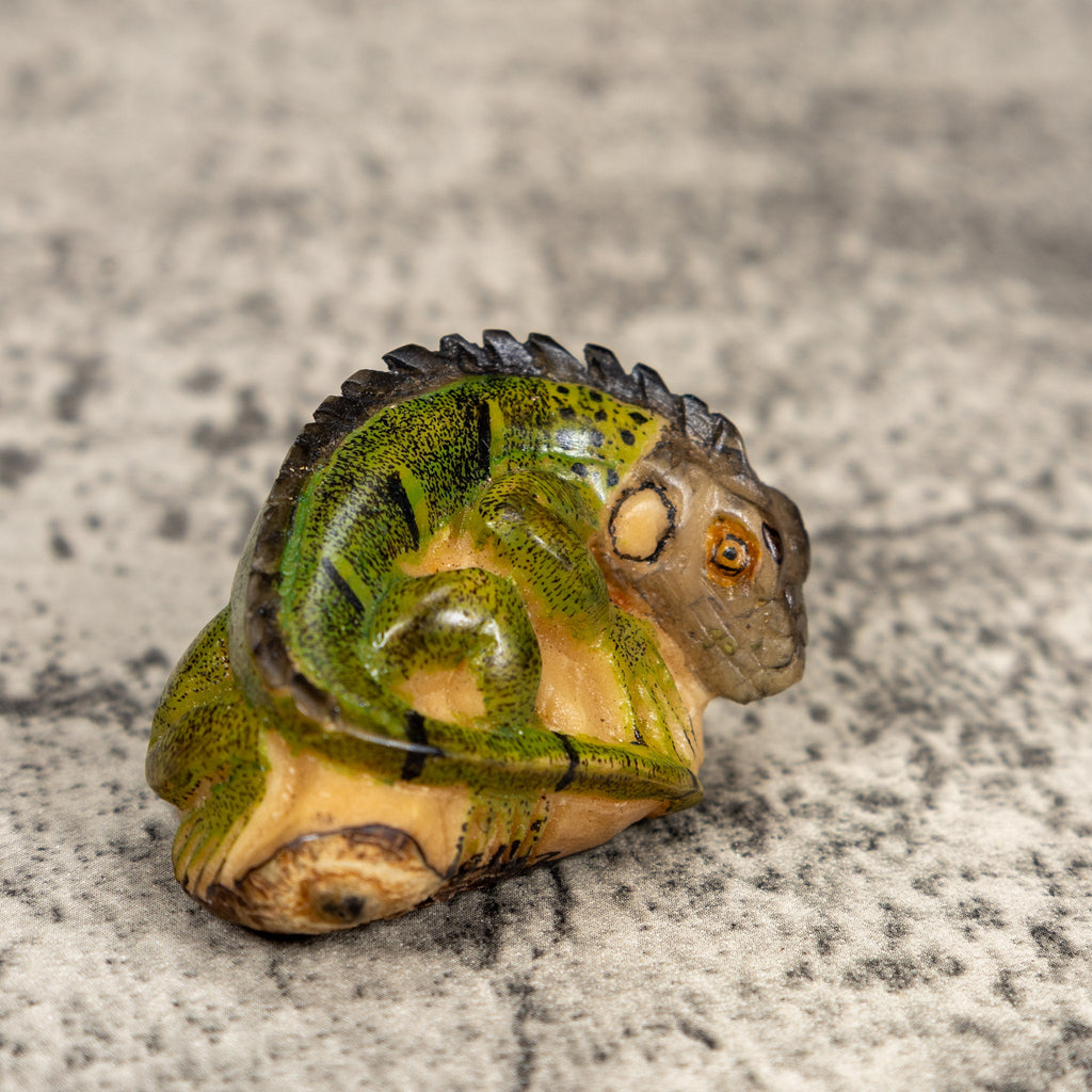 Green Gray And Black Iguana Lizard Tagua Carving