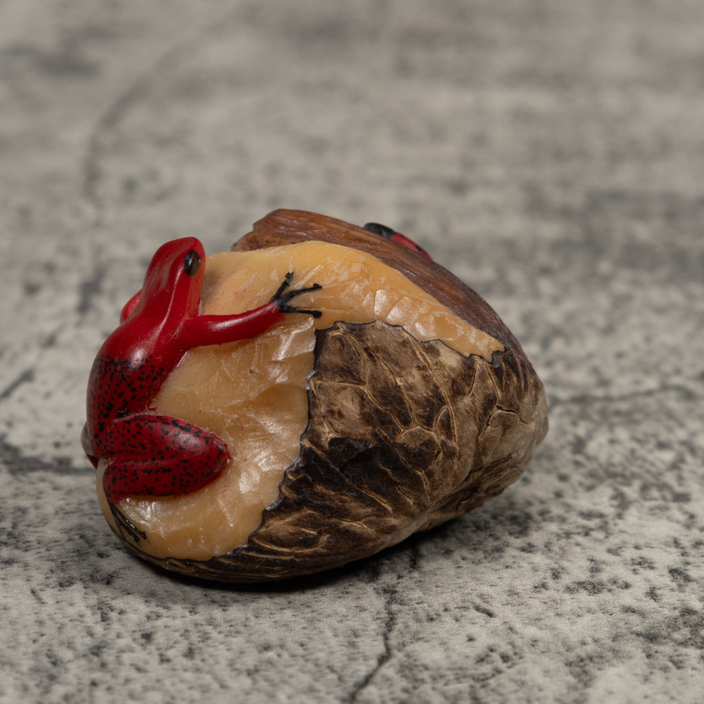 Poison Dart Frog Tagua Carving