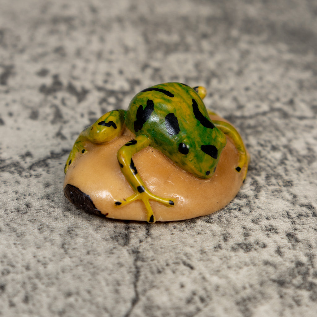 Vintage Green Gold And Black Frog Tagua Carving