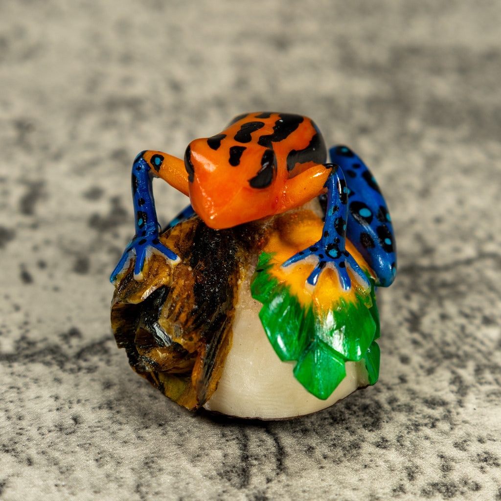 Blue Orange And Black Poison Dart Frog Tagua Carving