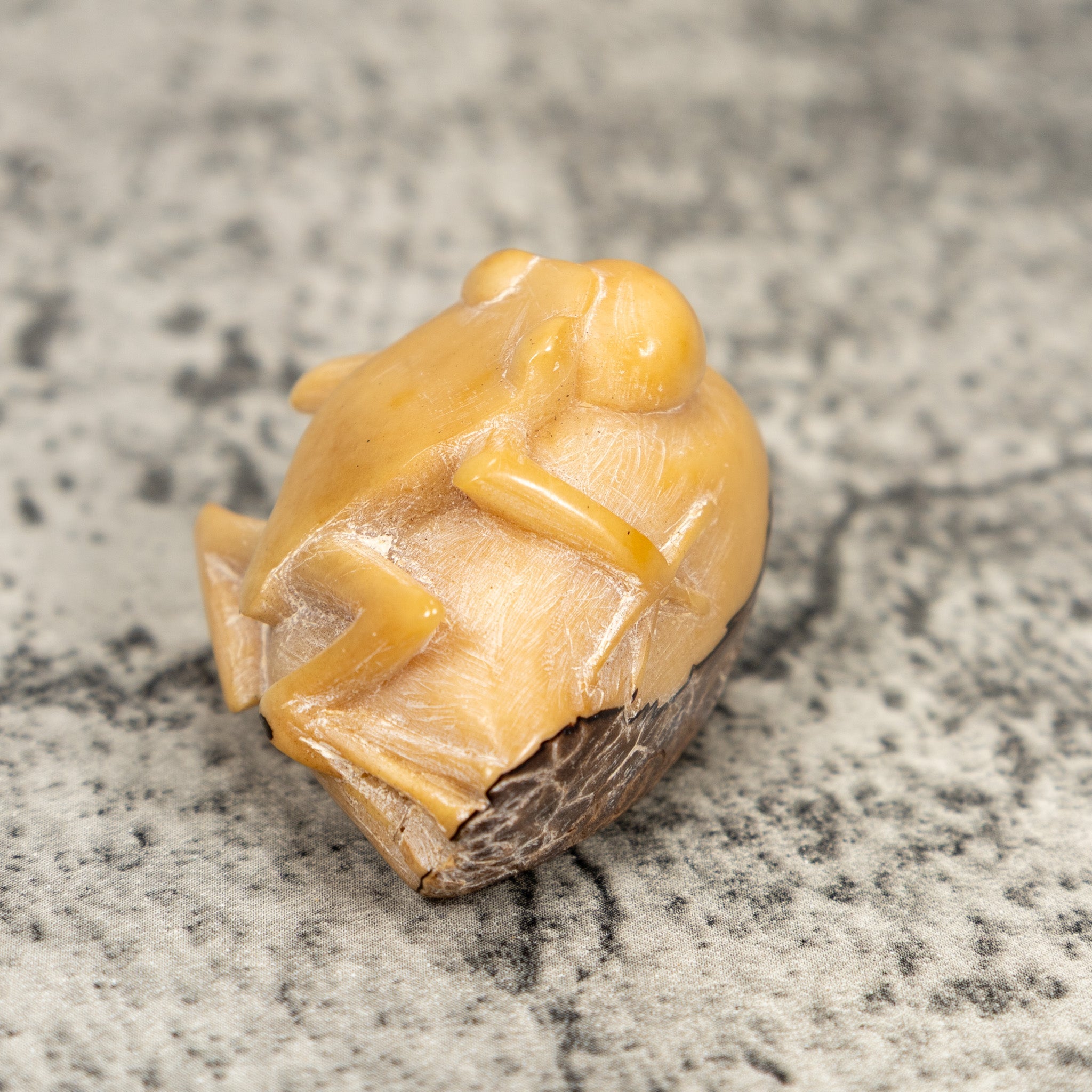 Natural White Blow Throat Frog Tagua Carving