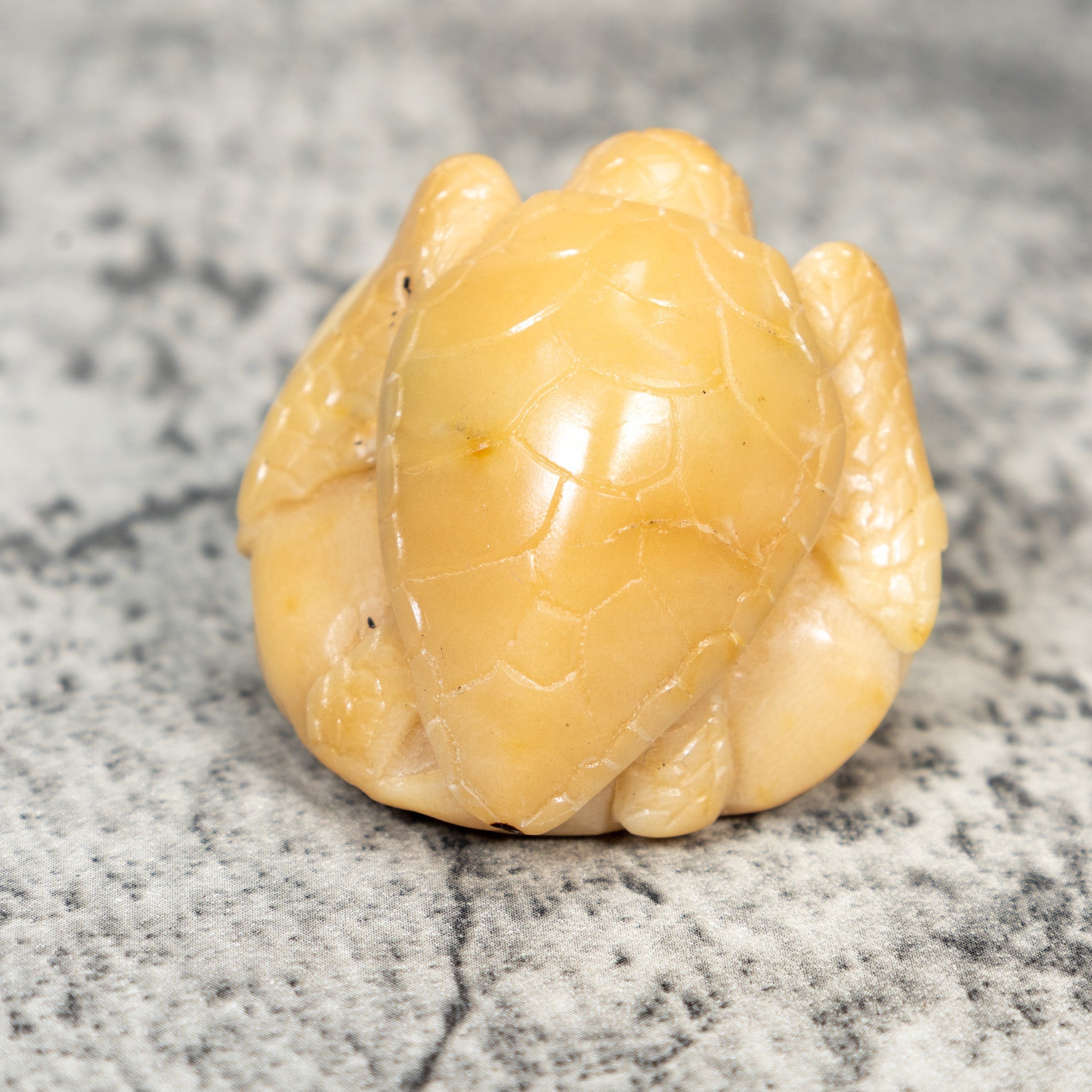 Natural White Sea Turtle Tagua Carving