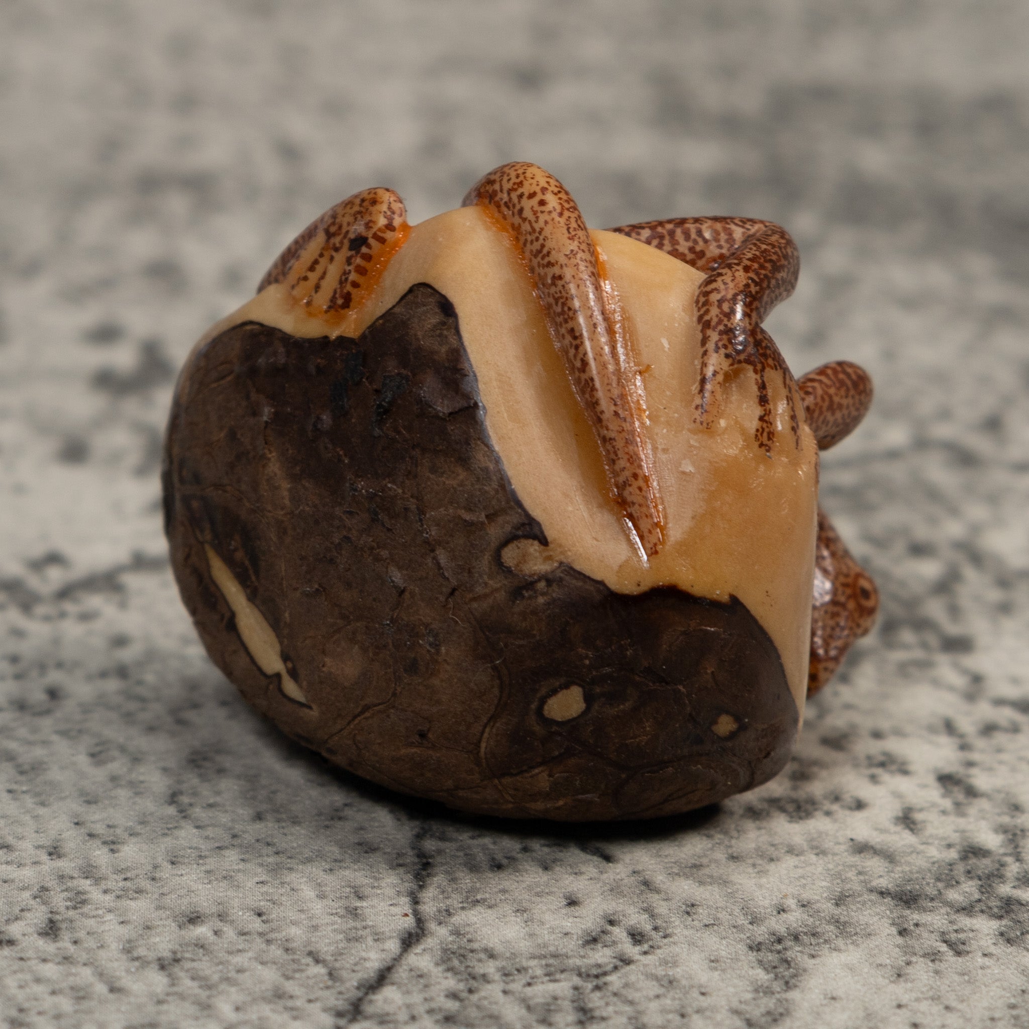 Brown Gecko Lizard Tagua Carving