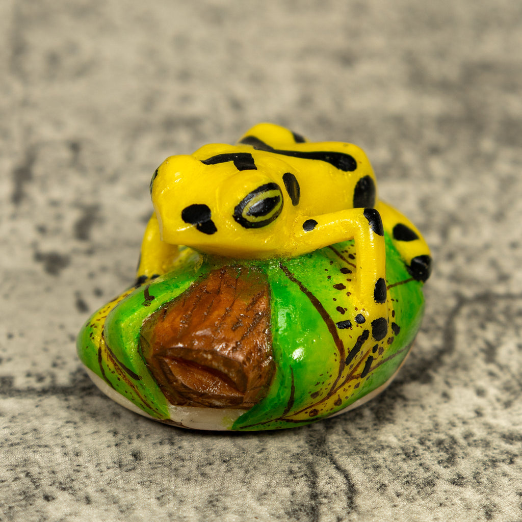 Yellow And Black Golden Frog Tagua Carving