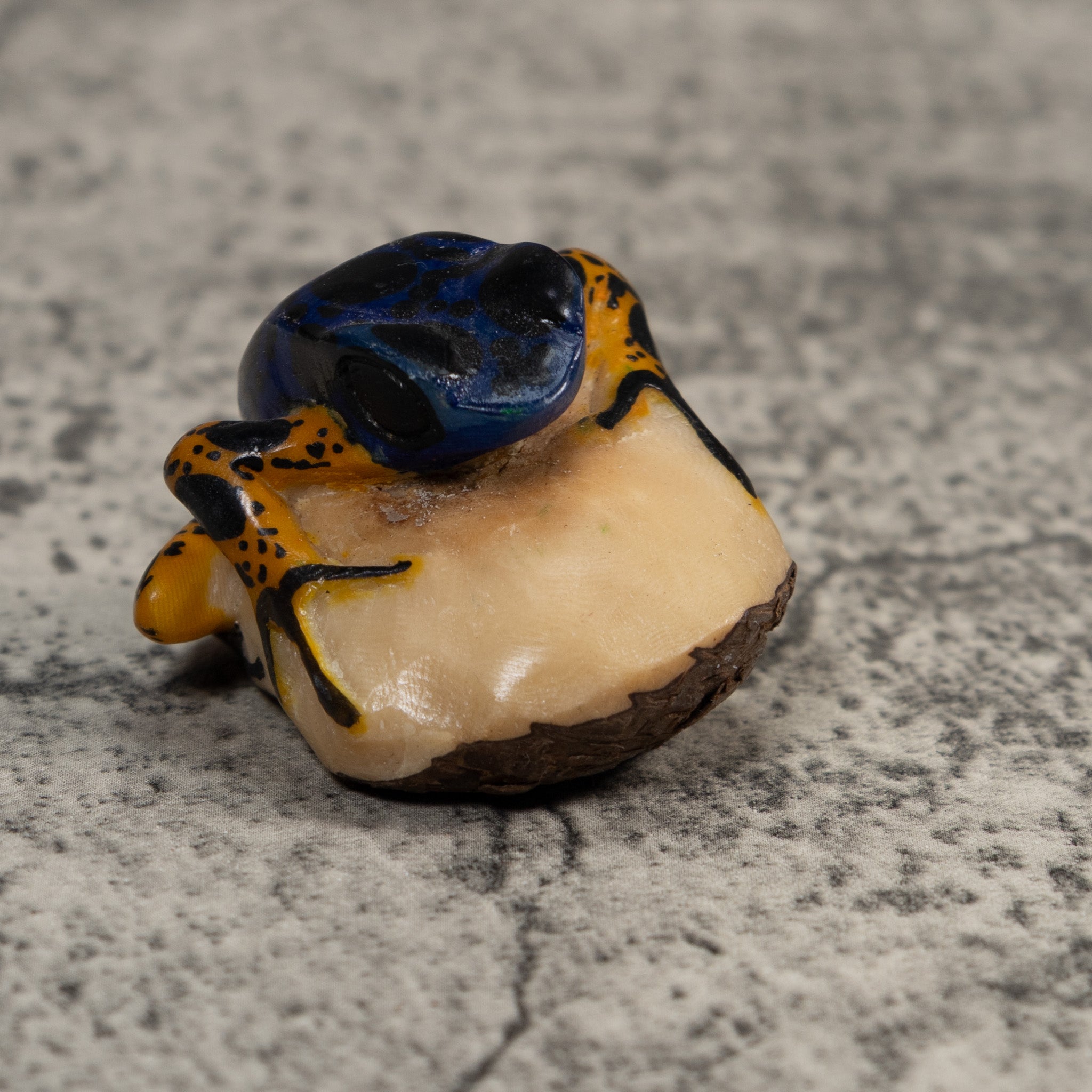 Vintage Blue And Orange Poison Dart Frog Tagua Carving