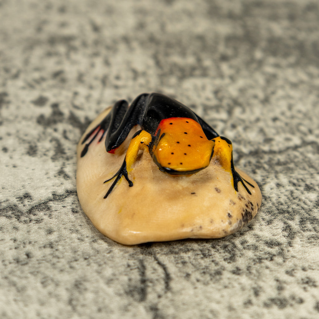 Vintage Black And Orange Poison Dart Frog Tagua Carving