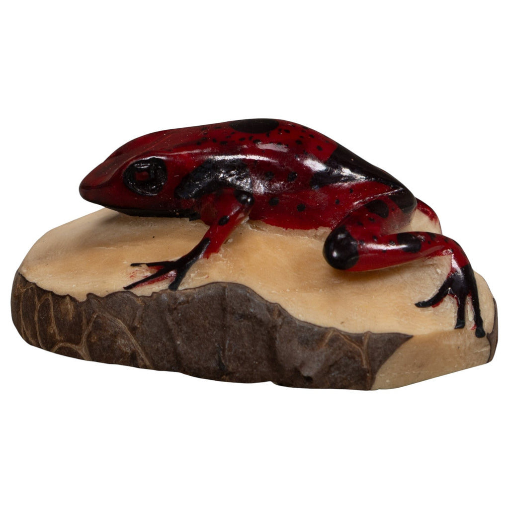 Vintage Red And Black Frog Tagua Carving