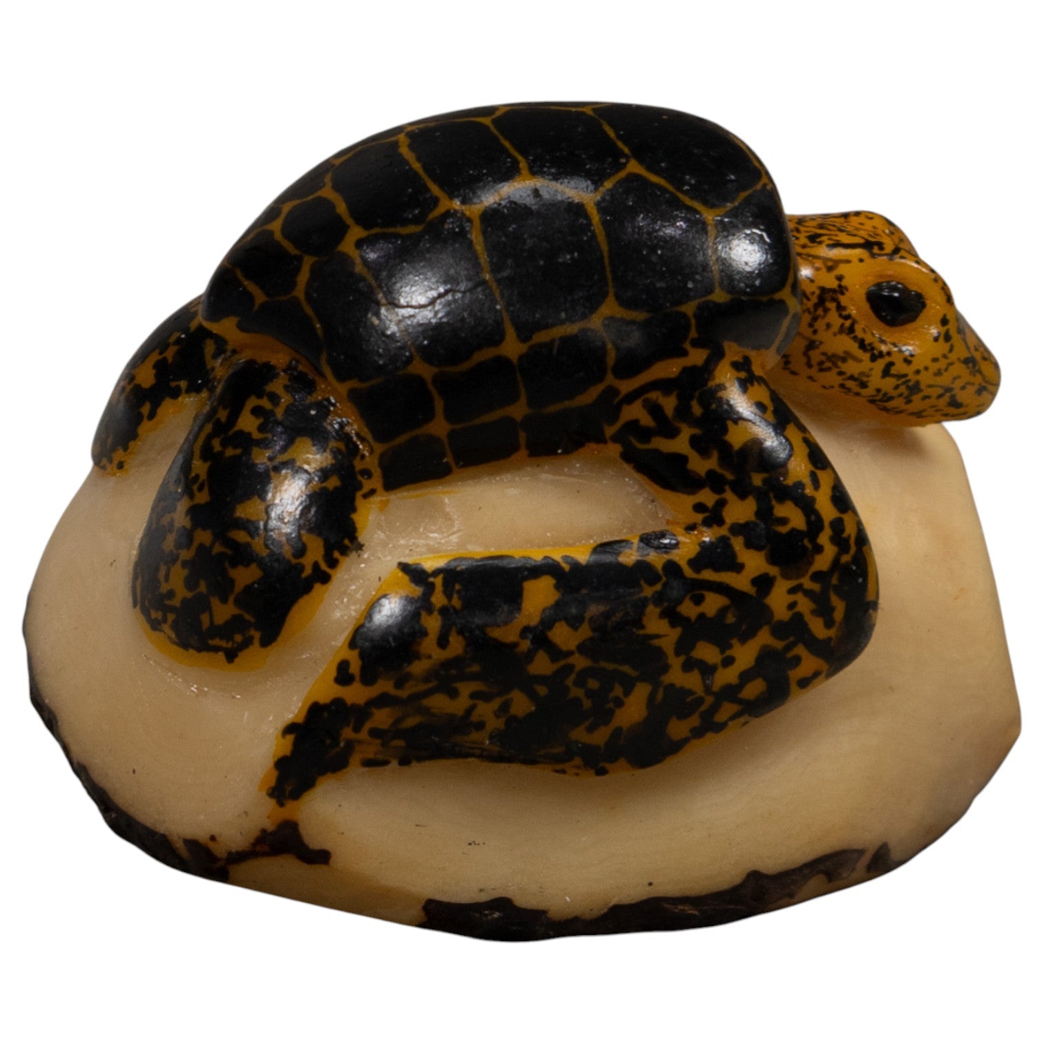 Vintage Sea Turtle Tagua Carving