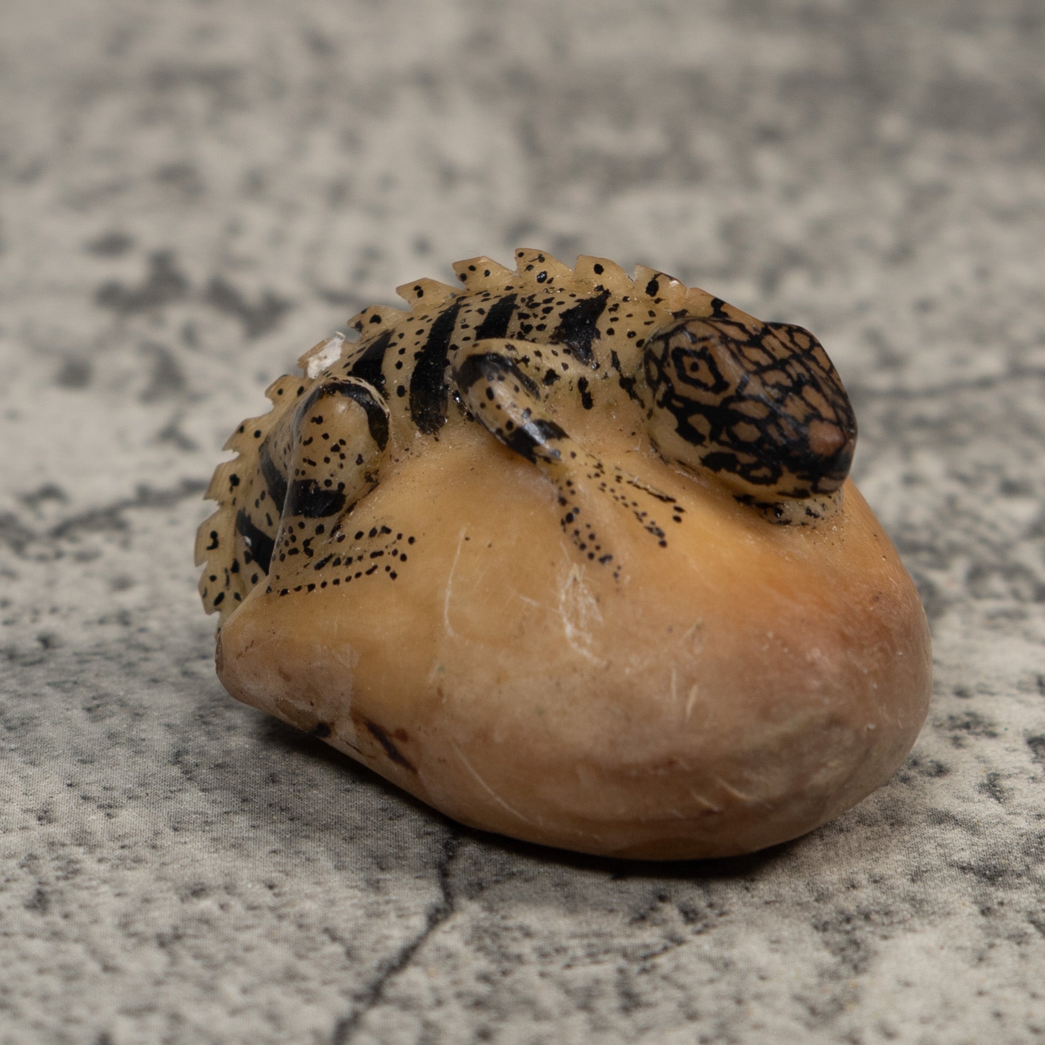 Vintage White And Black Iguana Lizard Tagua Carving