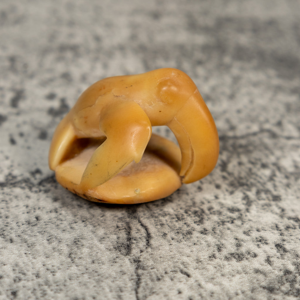 Vintage Natural White Toucan Parrot Bird Tagua Carving