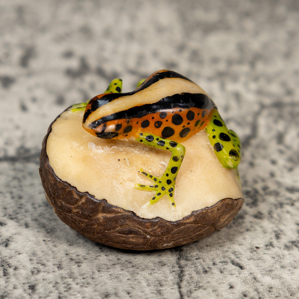 Gold Black And Green Poison Dart Frog Tagua Carving