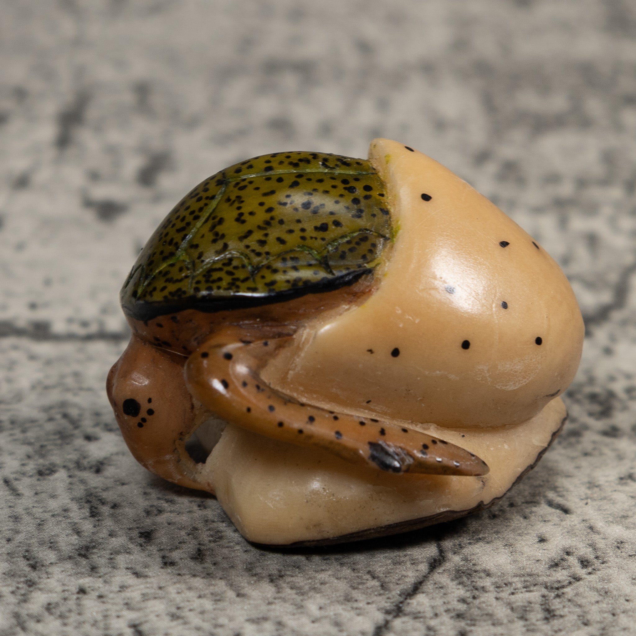 Vintage Sea Turtle Tagua Carving