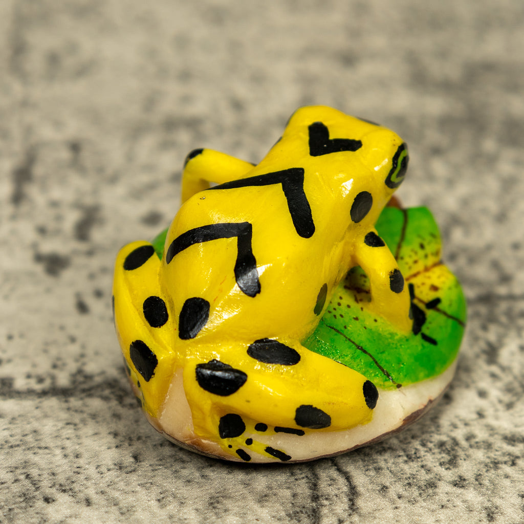 Yellow And Black Golden Frog Tagua Carving