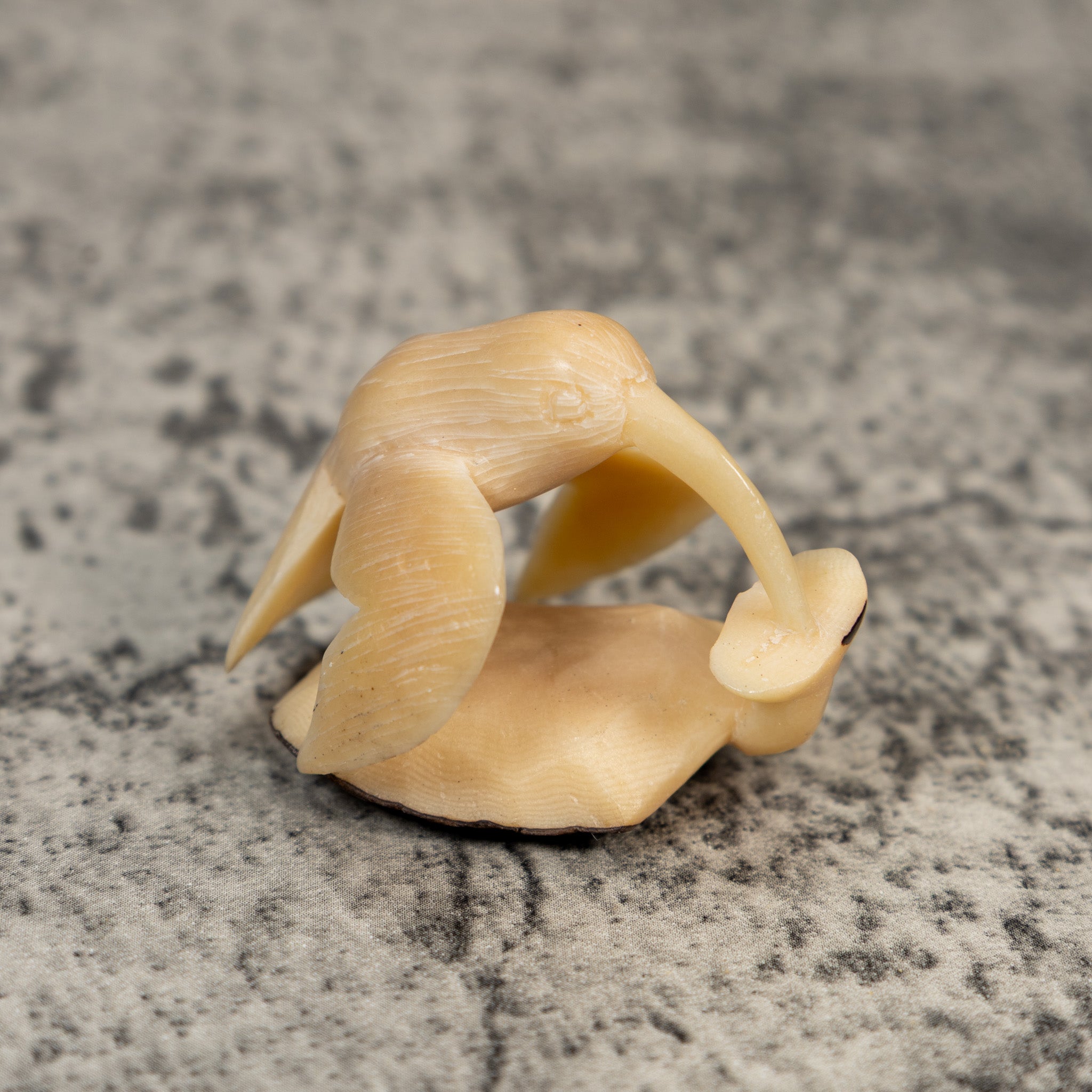 Natural White Hummingbird Tagua Carving