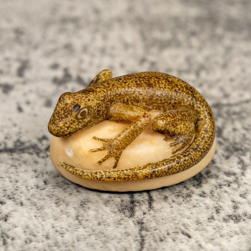 Spotted Gold And Brown Gecko Lizard Tagua Carving