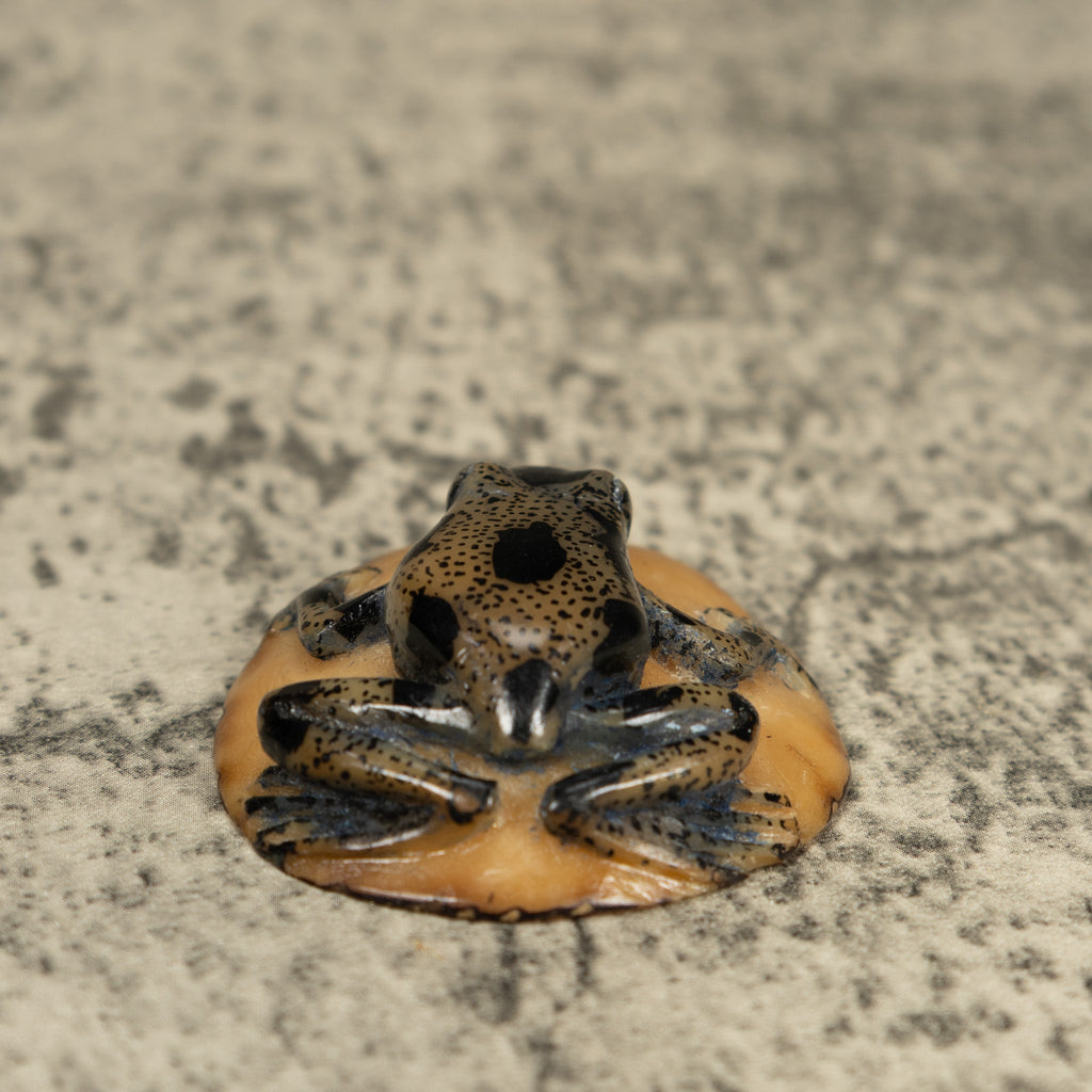 Translucent And Black Poison Dart Frog Tagua Carving