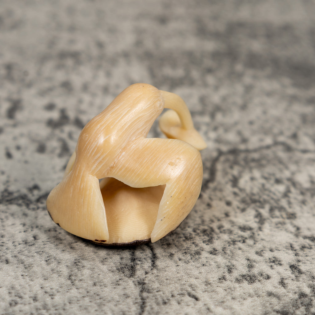 Natural White Hummingbird Tagua Carving