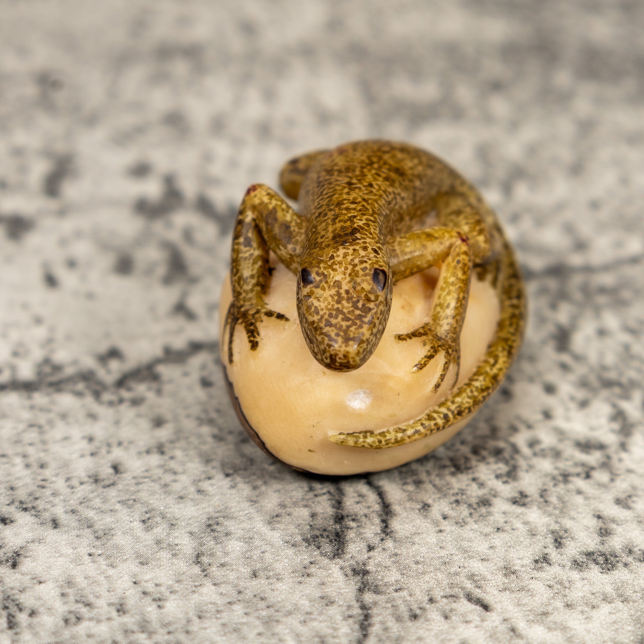 Spotted Gold And Brown Gecko Lizard Tagua Carving