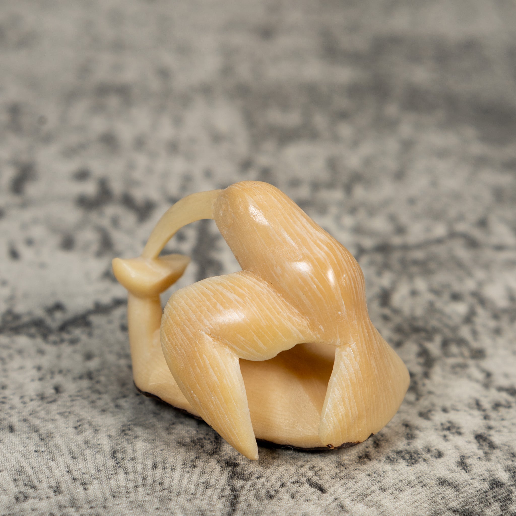 Natural White Hummingbird Tagua Carving