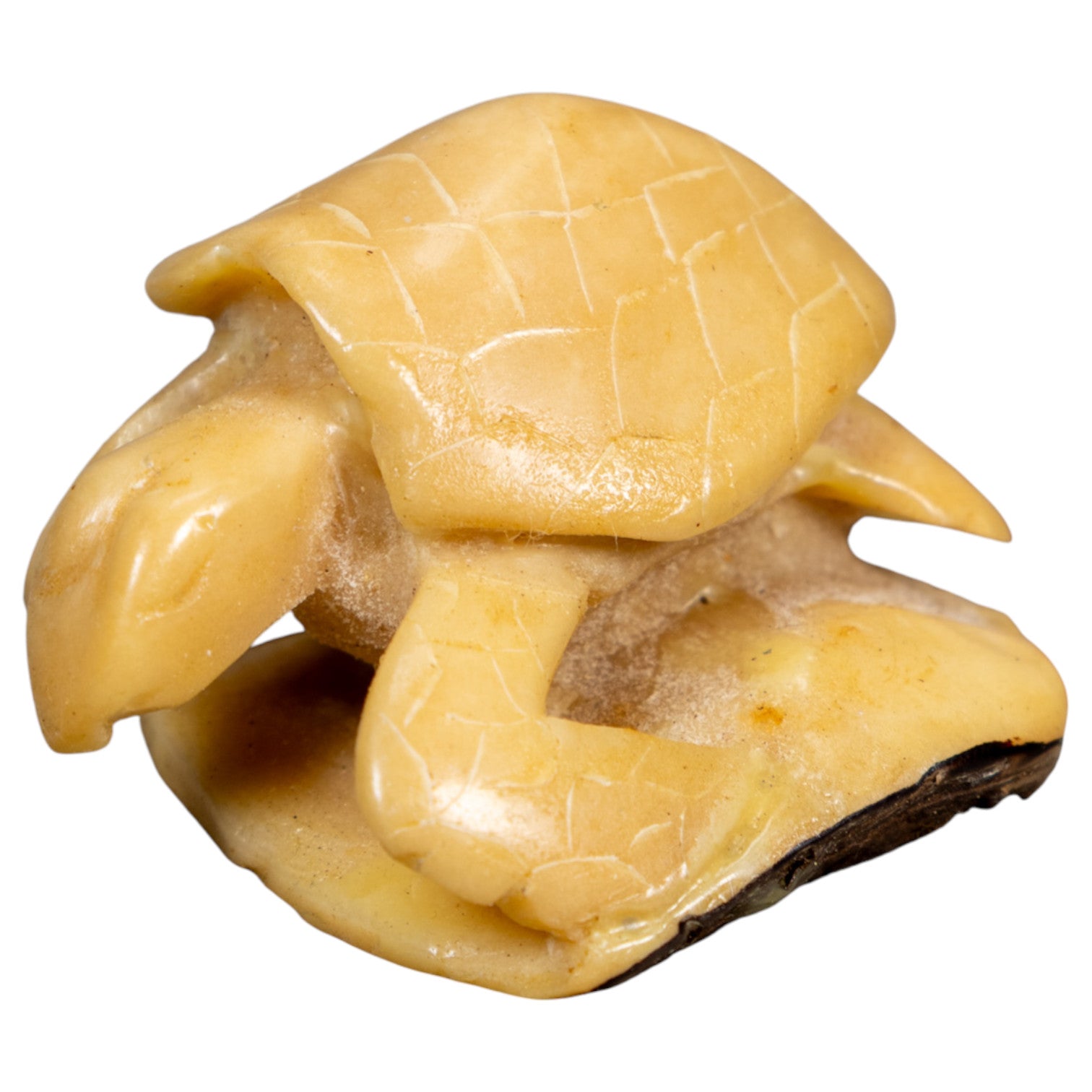 Vintage Natural White Sea Turtle Tagua Carving
