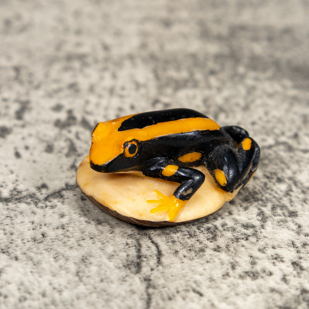 Black And Gold Poison Dart Frog Tagua Carving