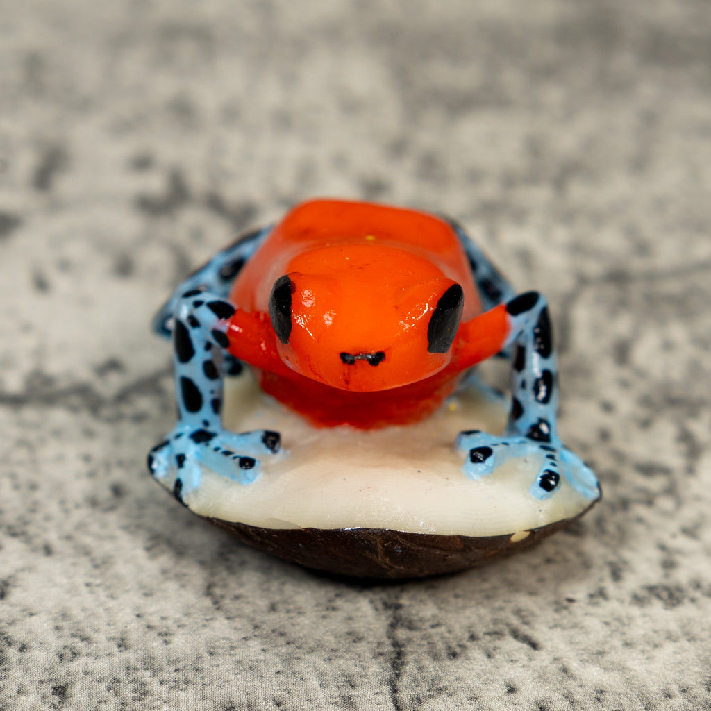 Red Black And Blue Poison Dart Frog Tagua Carving