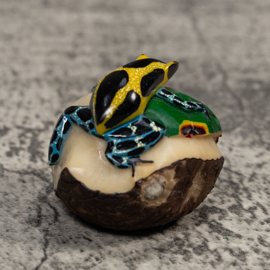 Blue Black And Gold Poison Dart Frog Tagua Carving
