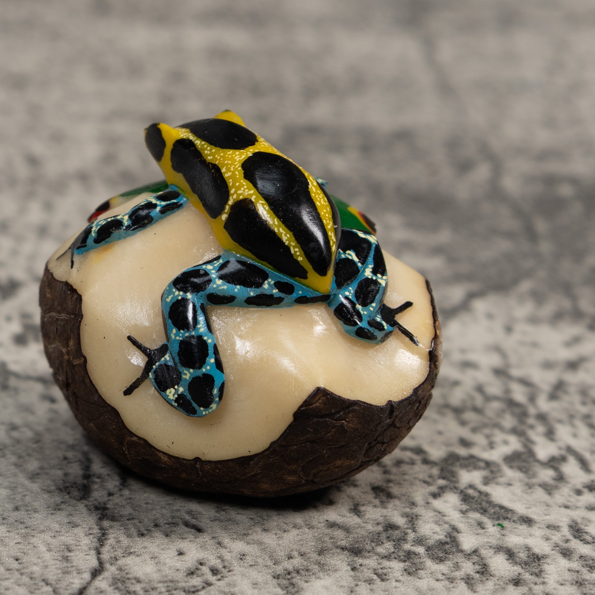 Blue Black And Gold Poison Dart Frog Tagua Carving