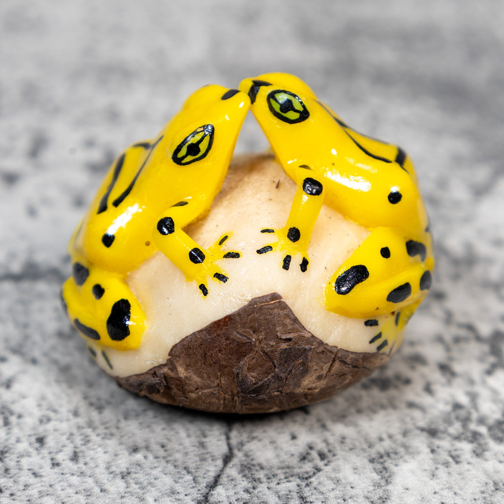 Double Golden Kissing Frog Tagua Carving